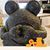 Linda Szabo's profile image