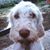 Donald A Zampa's profile image