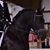 Amy Taylor Michelsen's profile image