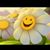 Bernadette McCafferty's profile image