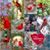 Sharon M Shelter's profile image