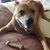 Marcia A. Morris's profile image
