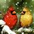 Christine Merkel Griffith's profile image