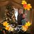 Nancy Korte's profile image