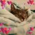 Evy McBride's profile image