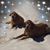 Debbie Reck's profile image