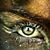 Maria Devan's profile image