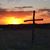 Shawna Hutchinson Taylor's profile image