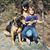 Cheyenne Lohse Hallert's profile image