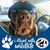 Nicole Ferrell's profile image