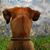 Barbara Barber's profile image