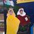 Sheri Aaron's profile image