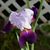 Juanita Burnett's profile image