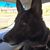Kathe Fleming Tutas's profile image