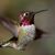 Diane L. Fontes's profile image