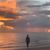 Penny Billings's profile image