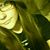 Molly McDade's profile image