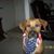 Patti Stucki's profile image