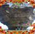 Sandra Erity's profile image