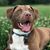 Angie McLane-Crossin's profile image
