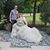 Lisa Moose Levy Kral's profile image