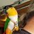 Melissa Davis's profile image