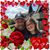 Amy Foegle's profile image
