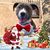 Apples N. Berry's profile image