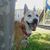 Linda Marie Stiles's profile image
