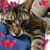 Lavette Ray's profile image