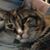 Brenda Hollander Johnson's profile image