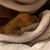Allison Alicea's profile image