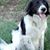 Cindy Boling's profile image