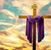 Amy Rashel Pulliam's profile image