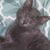 Teri Laschke's profile image