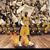 Daphne Lewis's profile image