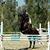 Rose Ann Schwary's profile image