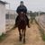 Juan Meza III's profile image