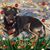 Robin Jepsen Rogers's profile image
