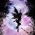 Anne Carter's profile image