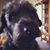 Carol Agnew's profile image