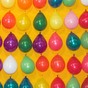 Balloon Animales D.'s profile image