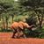 Diane Davidson's profile image