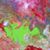 Wendy Jackson's profile image