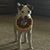 Kathy Vrbka's profile image