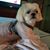 Helen Rhodes Leverton's profile image