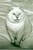 K J.'s profile image