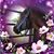ShellyAnn Ohlsson's profile image
