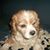 Mary Anne Hamilton Simonds's profile image