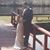 Vincent Taliercio's profile image